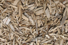 biomass boilers Handsworth Wood